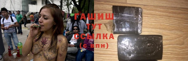 гидра Богородск