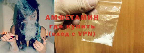 гидра Богородск