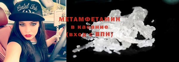 гидра Богородск