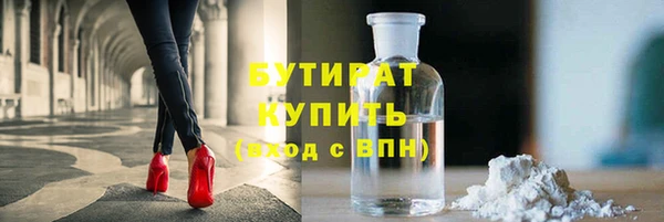 гидра Богородск