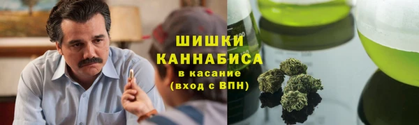 гидра Богородск