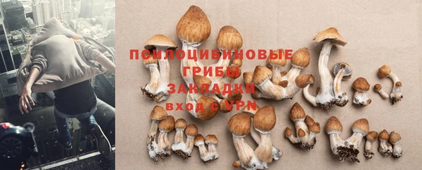 гидра Богородск