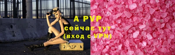 гидра Богородск