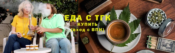 гидра Богородск