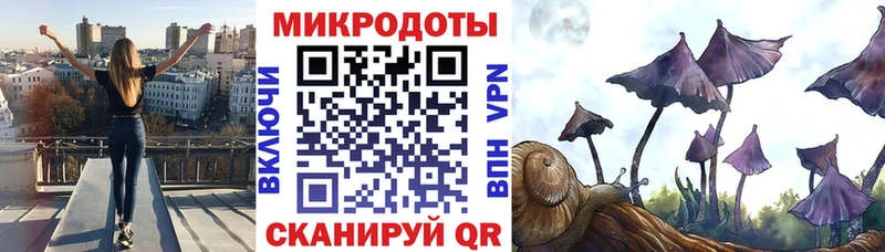Псилоцибиновые грибы Cubensis  Невель 